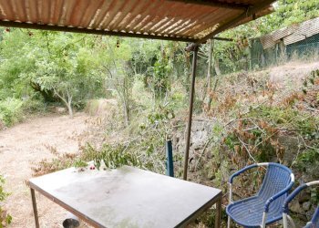 Agricultural land Soldano - photo 4