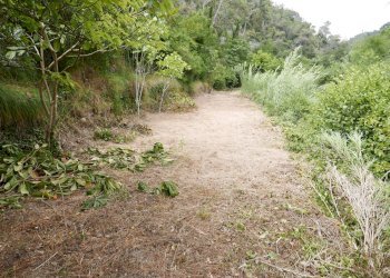 Agricultural land Soldano - photo 5