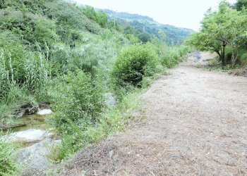 Agricultural land Soldano - photo 6