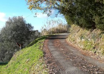 Building land Strada Vicinale Costa Tessi, snc 
 Moneglia, Moneglia - photo 8