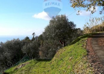 Building land Strada Vicinale Costa Tessi, snc 
 Moneglia, Moneglia - photo 9