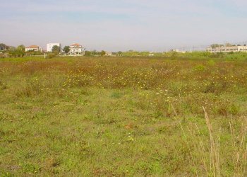 Terreno edificabile strada statale, Martinsicuro - foto 3