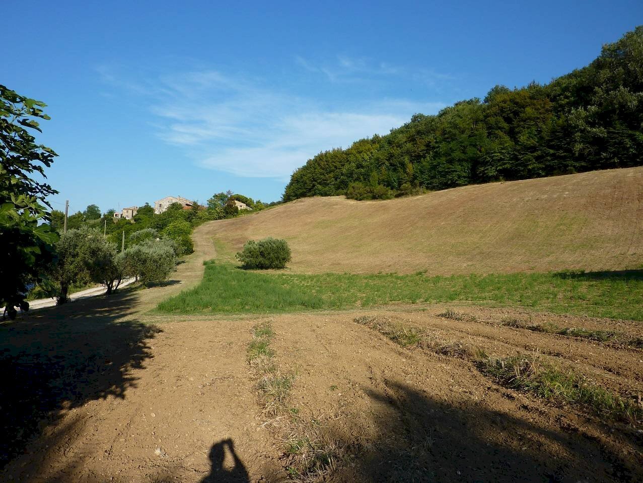 Terreno agricolo Ripatransone - foto 2