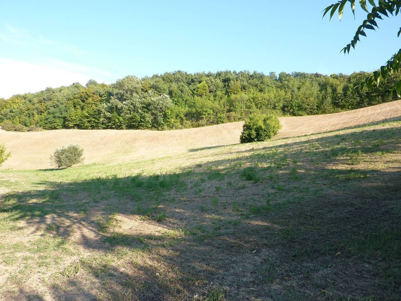 Terreno agricolo Ripatransone - foto 3