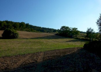 Agricultural land Ripatransone - photo 4