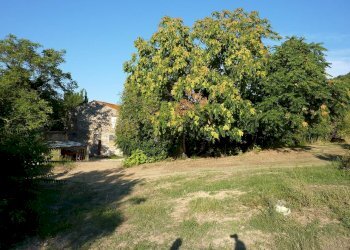 Agricultural land Ripatransone - photo 12