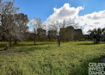 Rustico Ceglie Messapica - foto 8