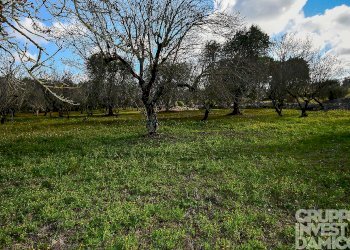 Rustico Ceglie Messapica - foto 9