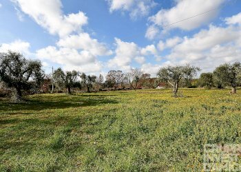 Rustico Ceglie Messapica - foto 10