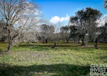 Rustico Ceglie Messapica - foto 11