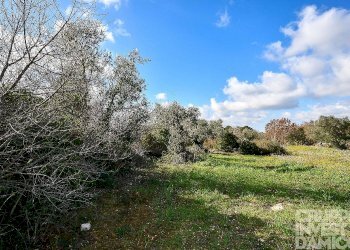 Rustico Ceglie Messapica - foto 12