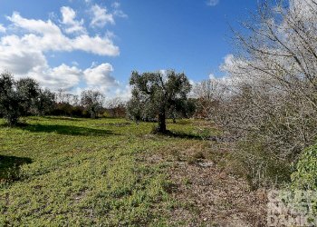 Rustico Ceglie Messapica - foto 13