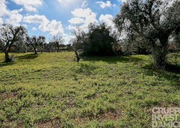 Rustico Ceglie Messapica - foto 15