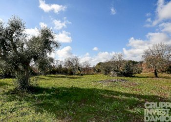 Rustico Ceglie Messapica - foto 17