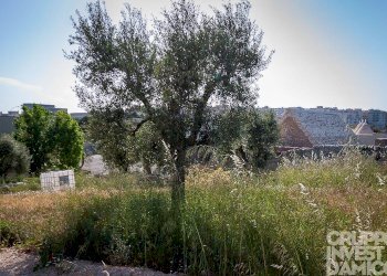 Facciata - Negozio via Liguria, Cisternino - foto 5