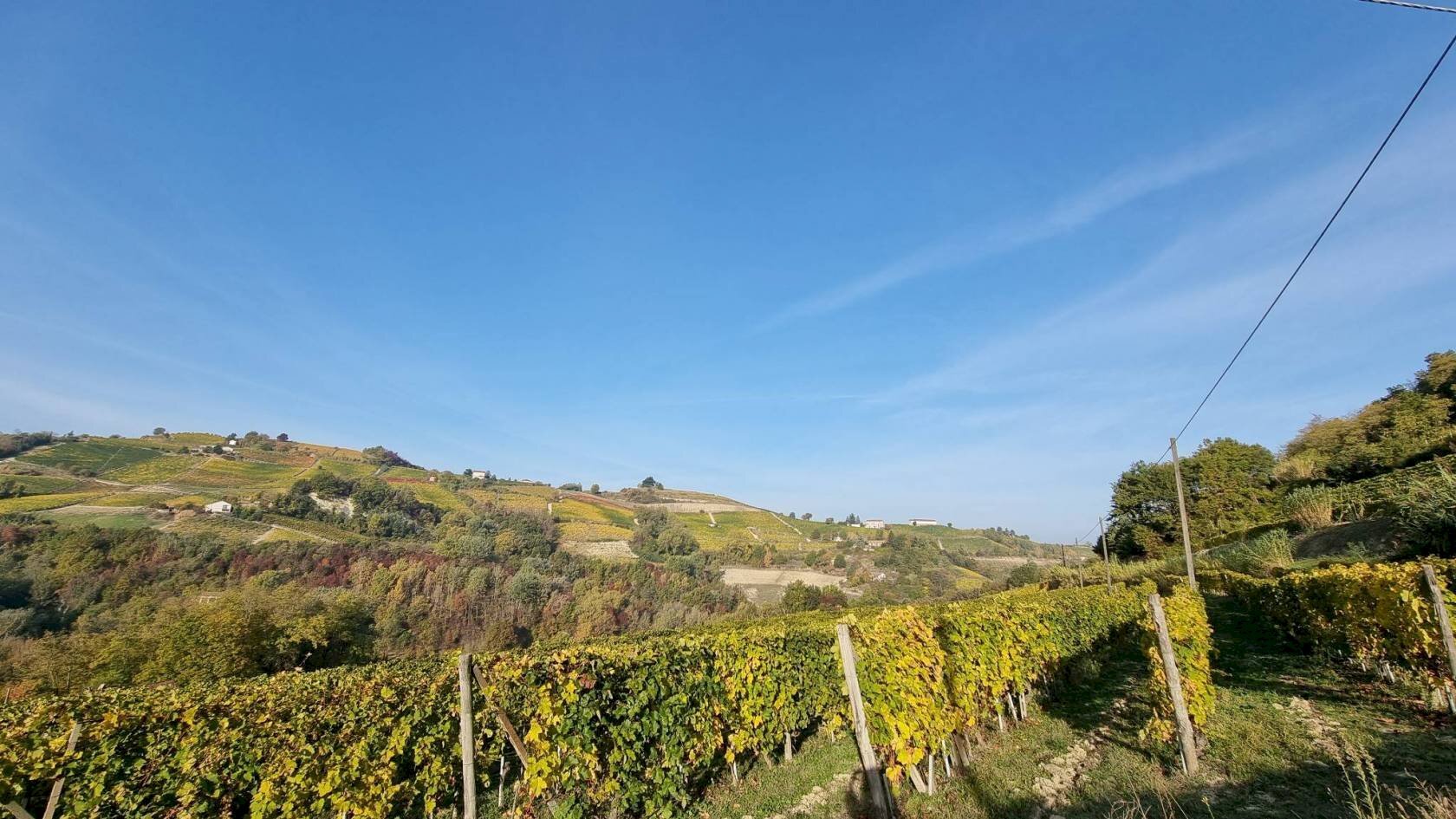 Rustico Cassinasco - foto 3