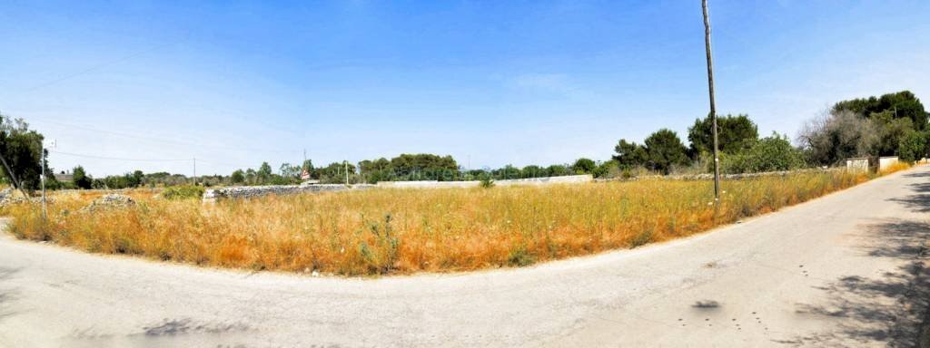 TERRENO - Agricultural land Tricase - photo 2