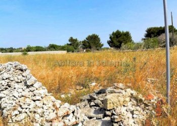 TERRENO - Terreno agricolo Tricase - foto 1