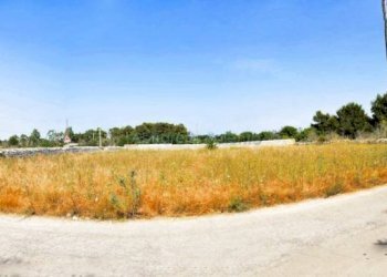 TERRENO - Terreno agricolo Tricase - foto 2