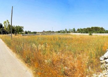 TERRENO - Terreno agricolo Tricase - foto 3