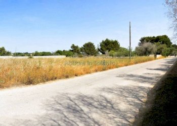 TERRENO - Terreno agricolo Tricase - foto 4