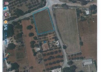 AEROFOTOGRAMMETRIA - Terreno agricolo Tricase - foto 5