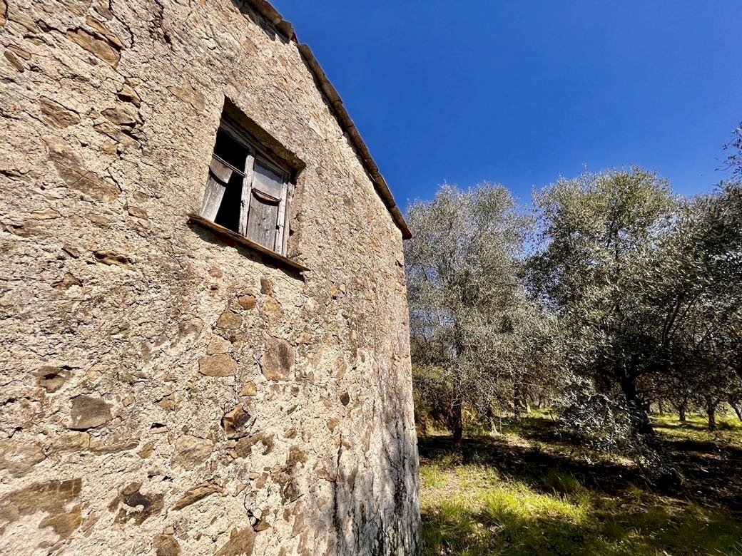 IMG_4201.JPG - Building land Follo - photo 1