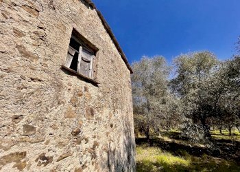 IMG_4201.JPG - Terreno edificabile Follo - foto 1