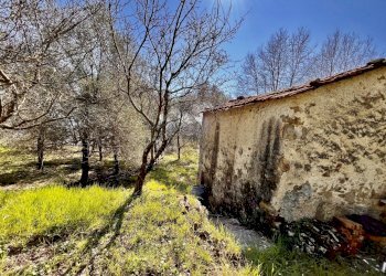 IMG_4206.JPG - Terreno edificabile Follo - foto 5