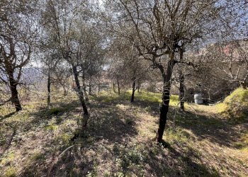 IMG_4203.JPG - Terreno edificabile Follo - foto 6