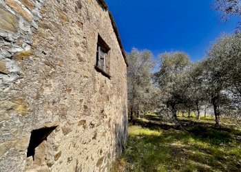 IMG_4207.JPG - Terreno edificabile Follo - foto 9