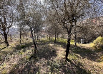 IMG_4203.png - Terreno edificabile Follo - foto 12