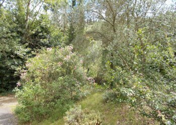 DSCN0012.JPG - Villa Quarrata - photo 12