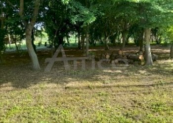 20220511_172306.jpg - Villa Rovigo RO, Rovigo - foto 7