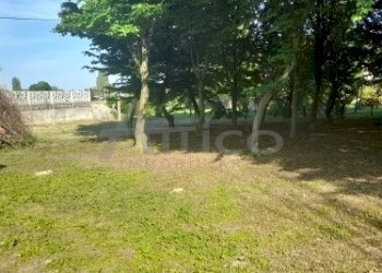 20220511_172319.jpg - Villa Rovigo RO, Rovigo - foto 8