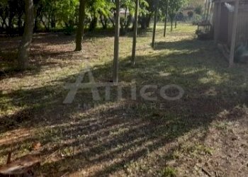 20220511_172325.jpg - Villa Rovigo RO, Rovigo - foto 9