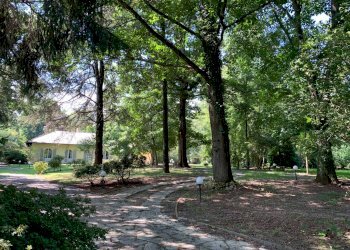 FACCIATA - Villa frazione Grange, Nole - foto 4