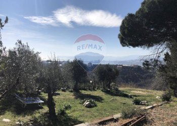 Villa Celle Ligure, SV, Celle Ligure - foto 12