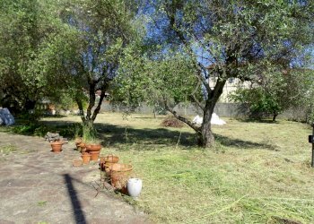 DSC07521.jpg - Villa Luni - foto 24