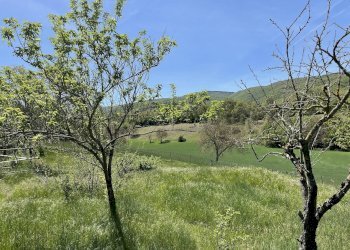 Appartamento Norcia-Campi, Norcia - foto 13