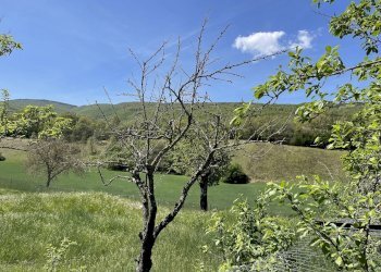 Appartamento Norcia-Campi, Norcia - foto 14