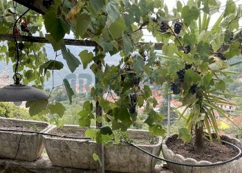 700_M_70022_imm.jpg - Appartamento Borgata Novelli, Prelà - foto 19