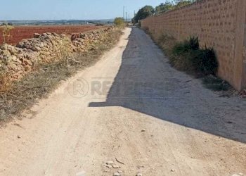 c7fffb24-31c5-42c6-b2eb-dd0498e398bc.jpg - Casale contrada Bianca, Mazara del Vallo - foto 4