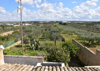 975159-jsqjyv81a.jpg - Casale contrada Bianca, Mazara del Vallo - foto 16