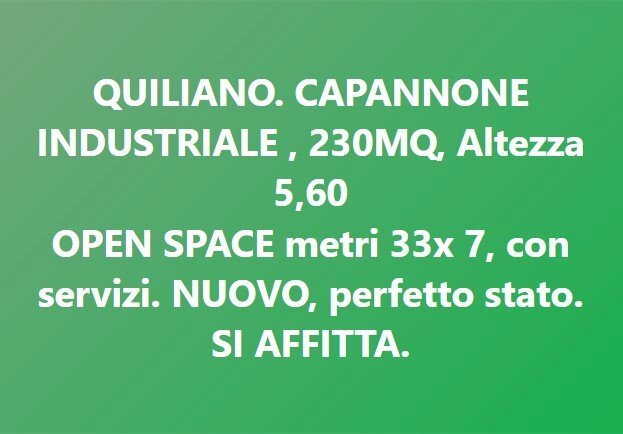 Capannone Quiliano - foto 1
