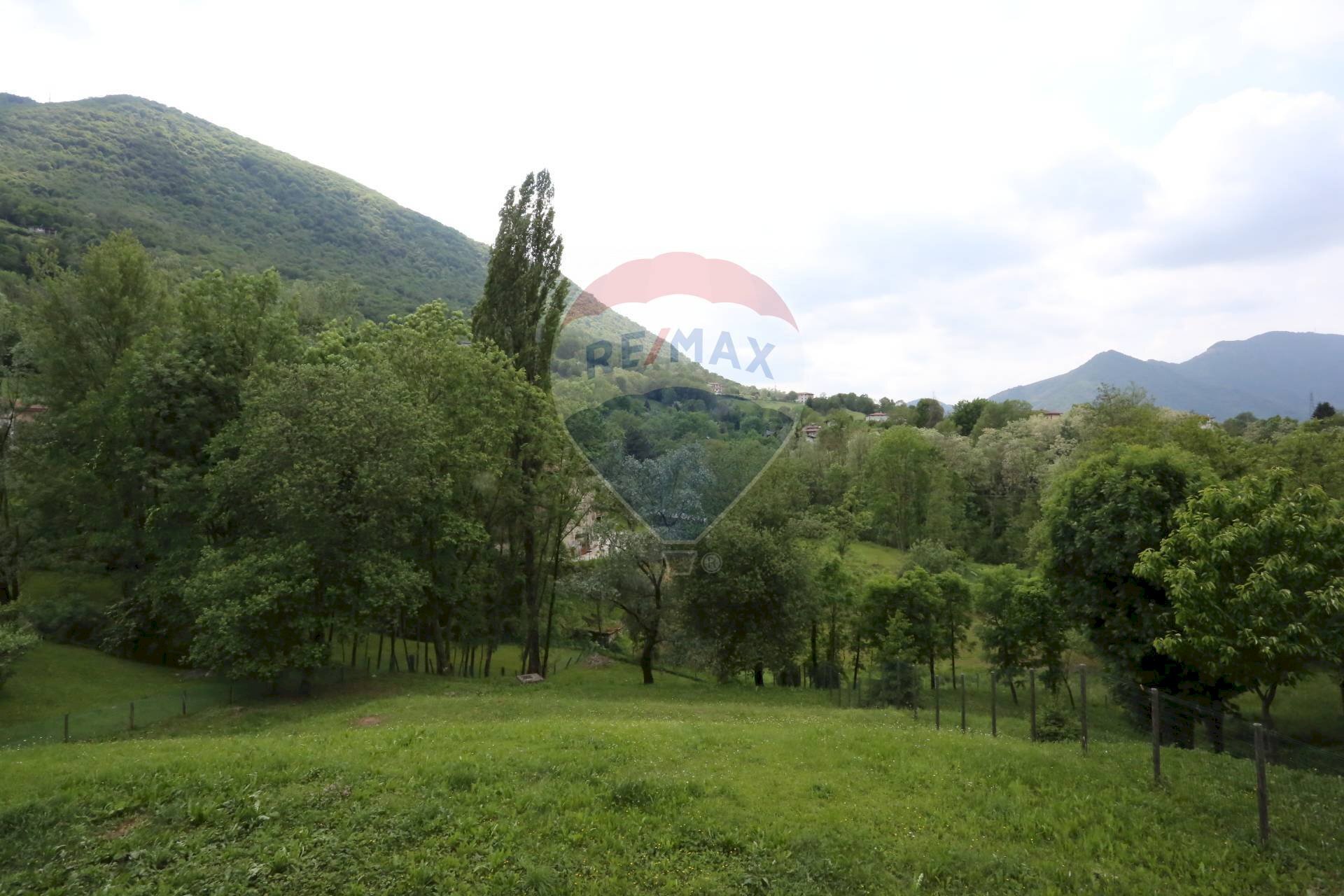 Terreno edificabile via Ca' Bianca, Albino - foto 2