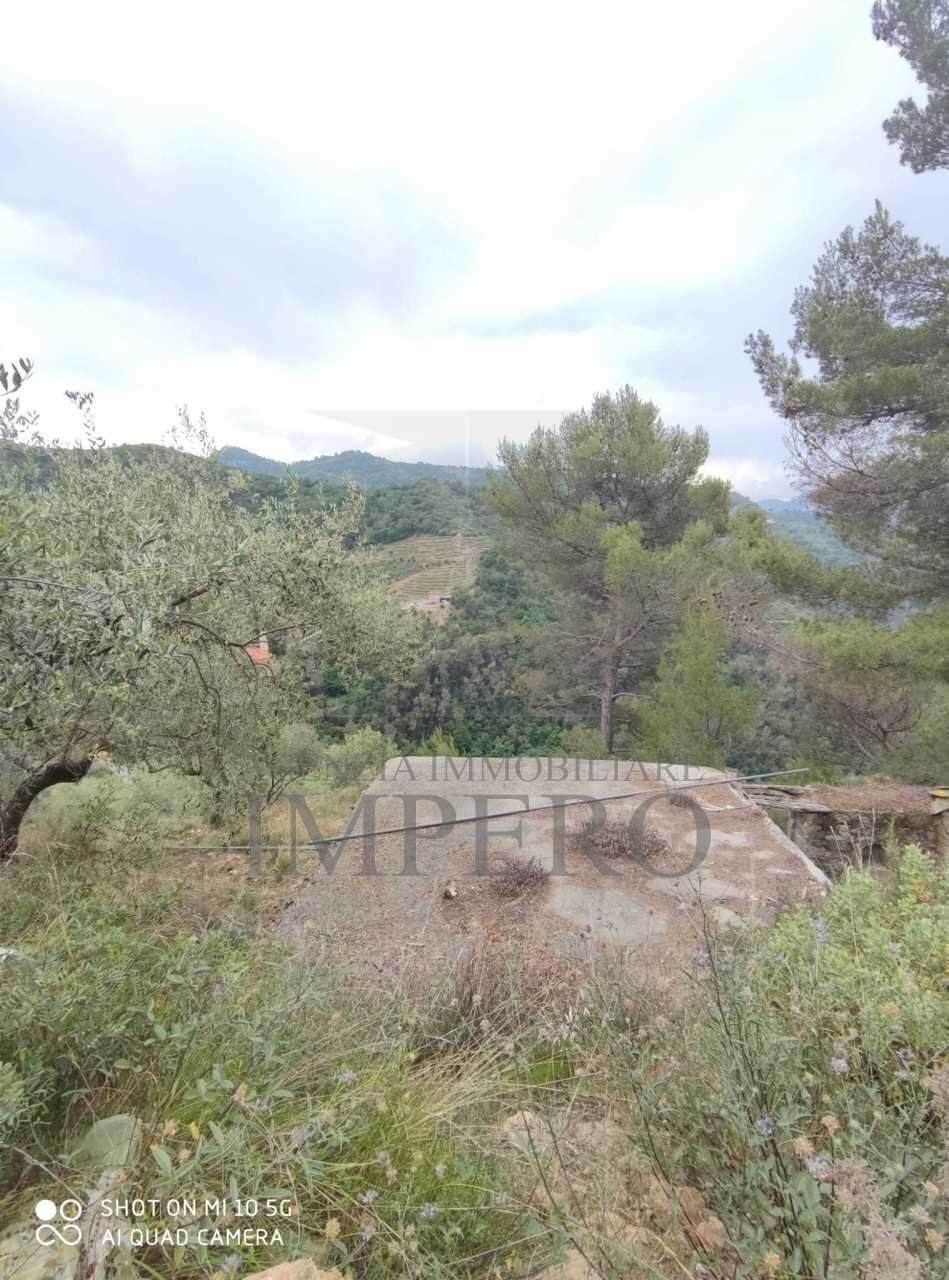 Terreno agricolo Frazione Verrandi, Ventimiglia - foto 3