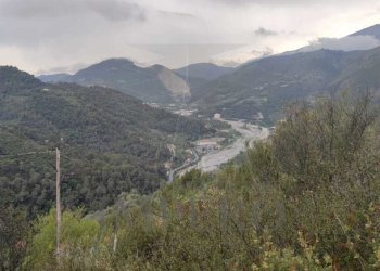 Terreno agricolo Frazione Verrandi, Ventimiglia - foto 1