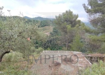 Terreno agricolo Frazione Verrandi, Ventimiglia - foto 3