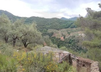 Terreno agricolo Frazione Verrandi, Ventimiglia - foto 4
